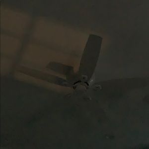 Meet your Posher, Dennis